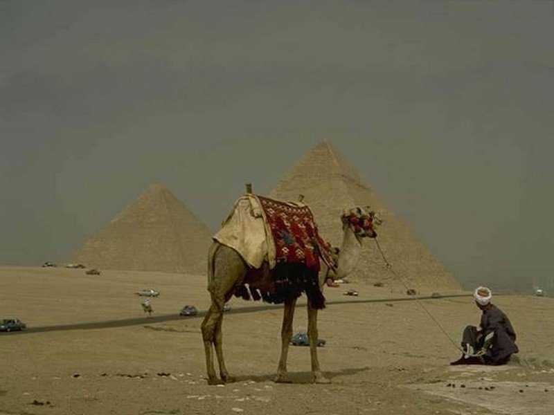 Mısır'dan Türk Çeliğine Sınırlama Getirilecek Endişesi