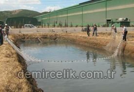 İÇDAŞ, ÇELİK SUYUYLA BALIK YETİŞTİRDİ, AVRUPA'YA İHRAÇ ETTİ