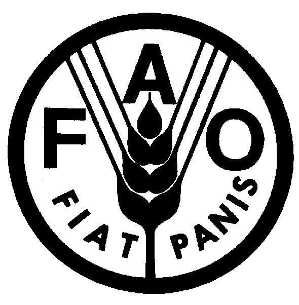 FAO: Gıda fiyatları 6 ay daha yüksek kalabilir