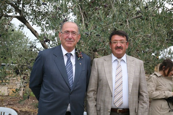 Zeytincilik Sektöründe Hasat Coşkusu