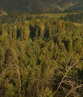 Borusan Lojistik 5 Yıllık Yeni Stratejik Planını Tedarikçileri İle Paylaştı