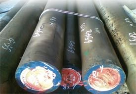 Cezayir'de kütük ithalat vergileri kaldırılabilir