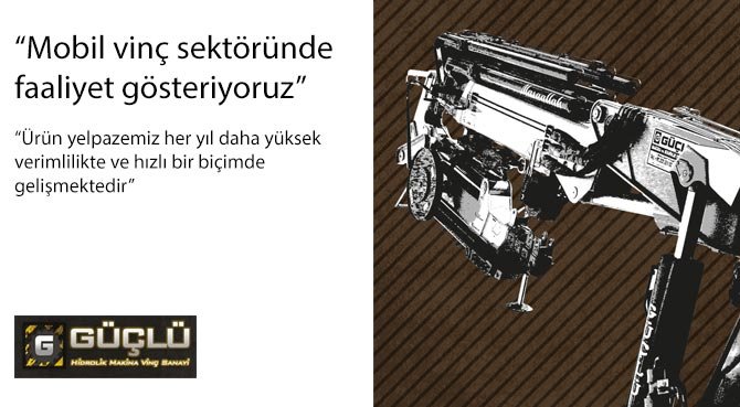 Mobil vinç sektöründe faaliyet gösteriyoruz