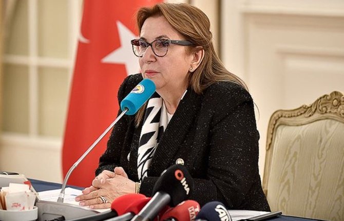 Bakan Pekcan: Türkiye ekonomisinin olumlu seyri göstergelere de yansıyor